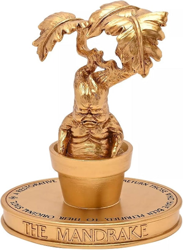Teddy's Trove Warner Bros Harry Potter Herbology Mandrake Figurine 21cms Review