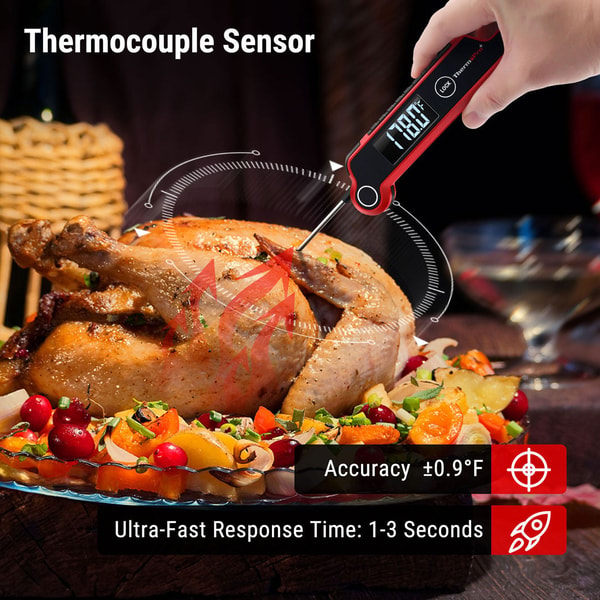 TempPro TP620 Instant-Read Thermometer Review