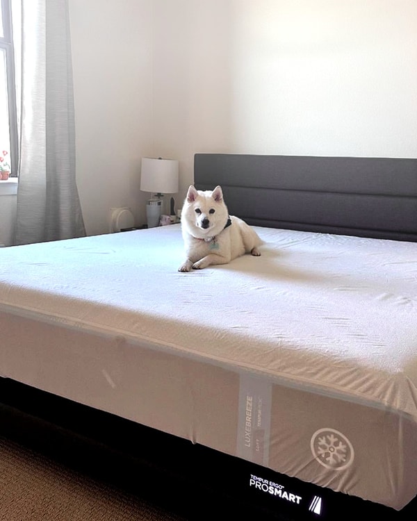 About Tempur-Pedic