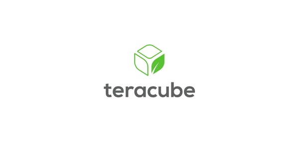 Teracube Thrive vs Gabb Phones