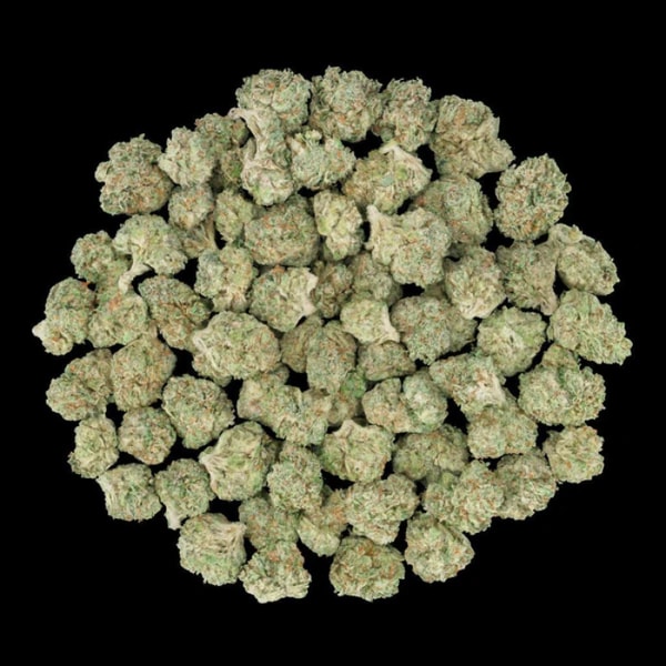 Lost In Translation Pink Rosay THCA Flower Reviews