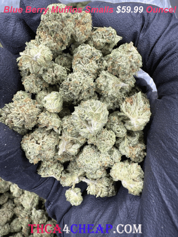 THCA4Cheap Blue Berry Muffins Smalls Review