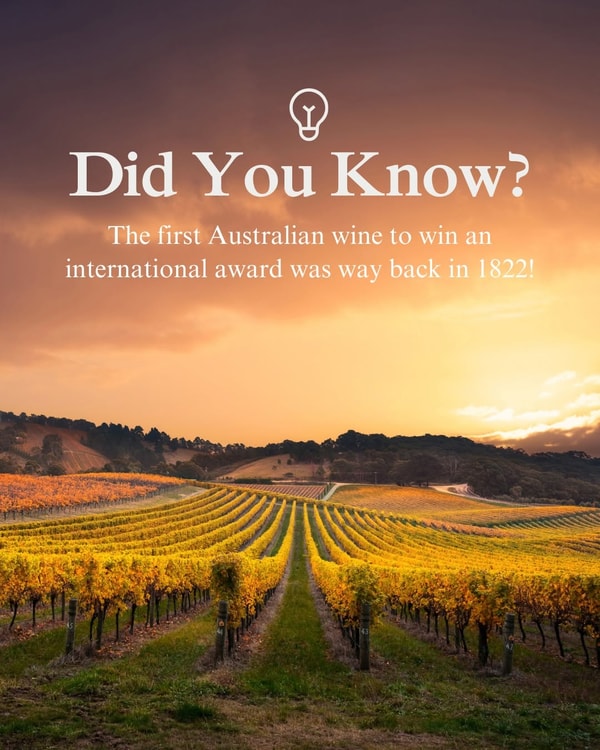 The Australian Wine Review
