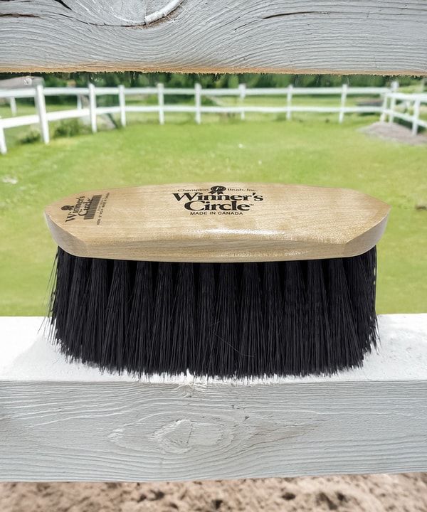 The Brush & Broom 8 &frac14;'' Champion Brush Winner&rsquo;s Circle&reg; Flick Brush &ndash; Polypropylene - Black Review