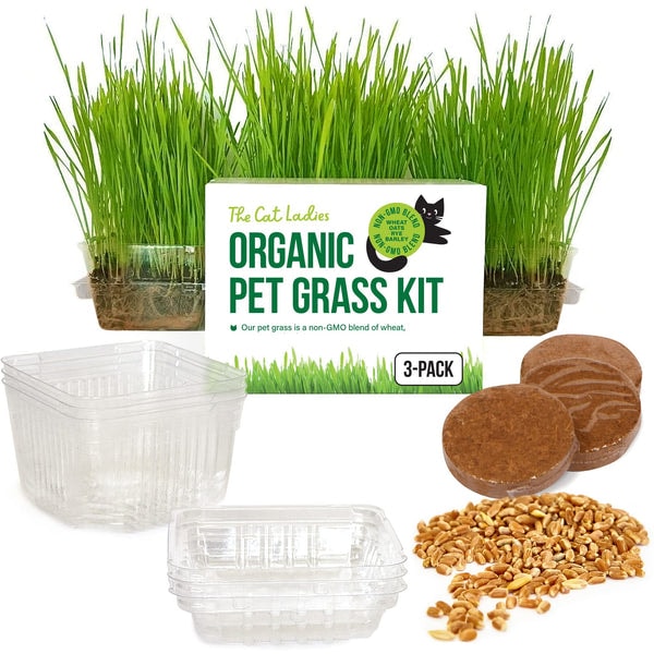 The Cat Ladies Cat Grass Kit Review