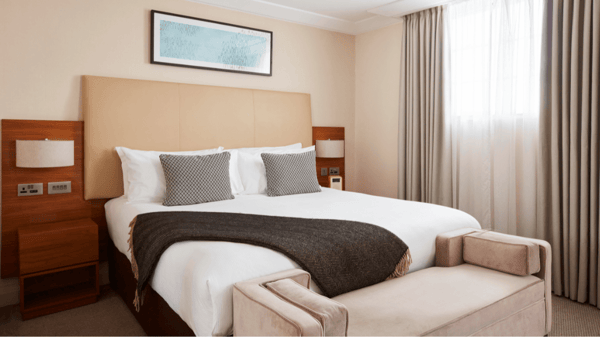 The Clermont Studio Suite Review
