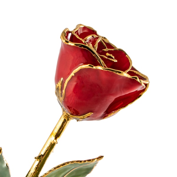 The Forever Rose 24K Gold Forever Rose Reviews