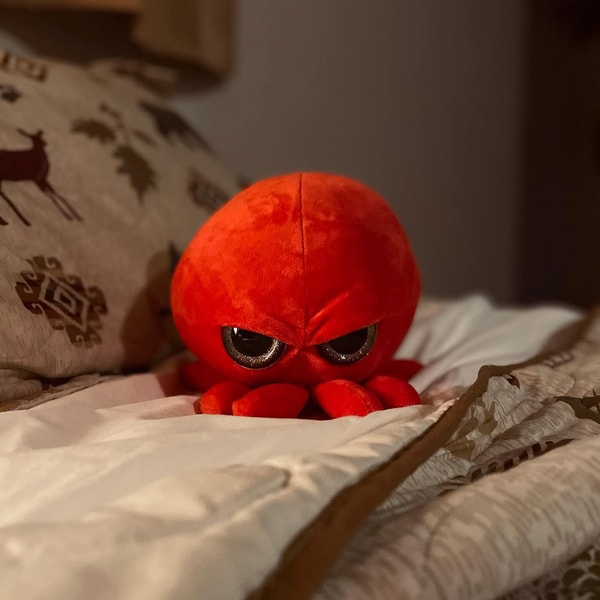 About The Grumpy Octopus