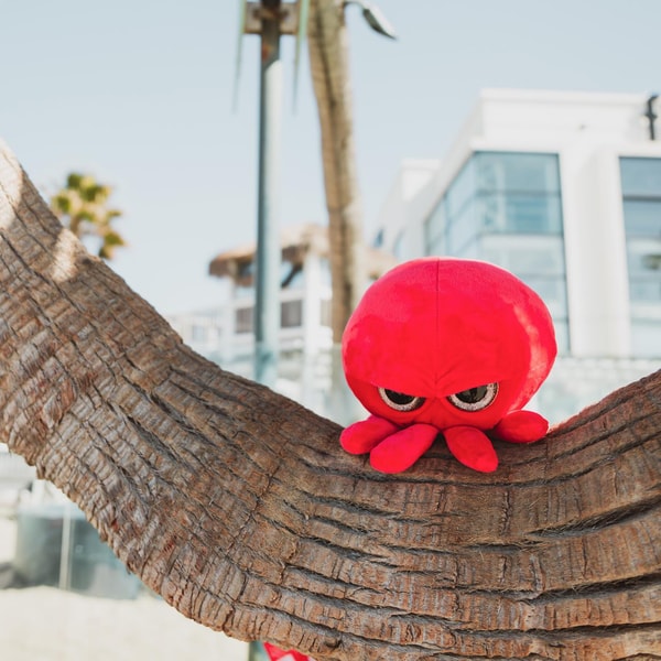 Overview of The Grumpy Octopus