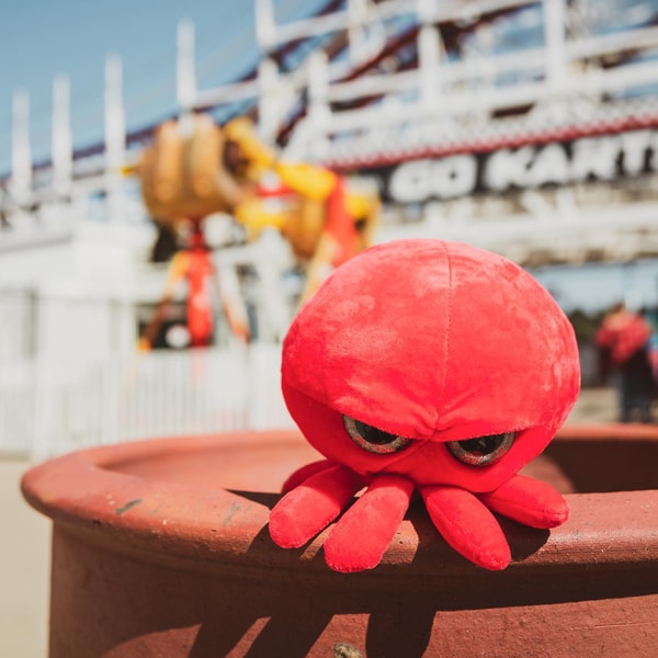 The Grumpy Octopus Review