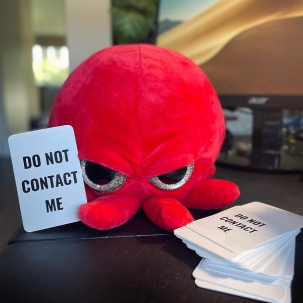 The Grumpy Octopus Grumpy Baby Octopus Review