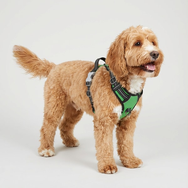 The Happy Doodle Company Explorer Harness - Green Review