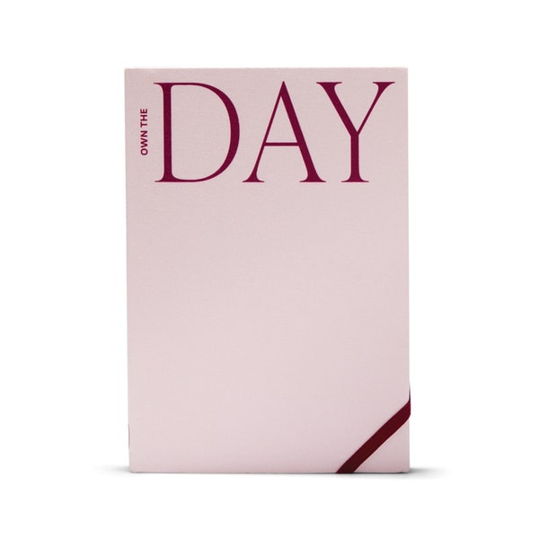 The Head Plan Own The Day Planner Reviews
