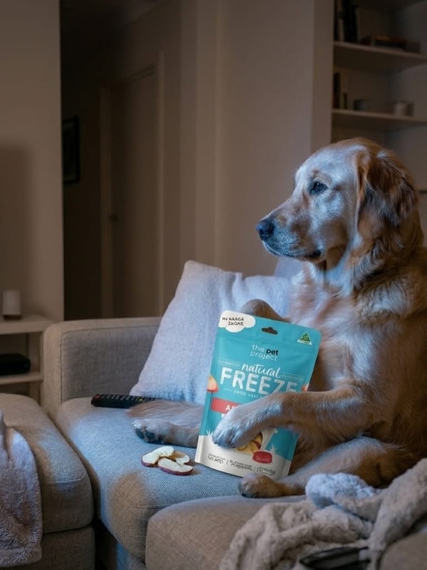 The Pet Project Review