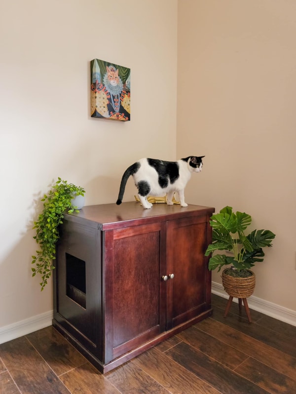 About The Refined Feline