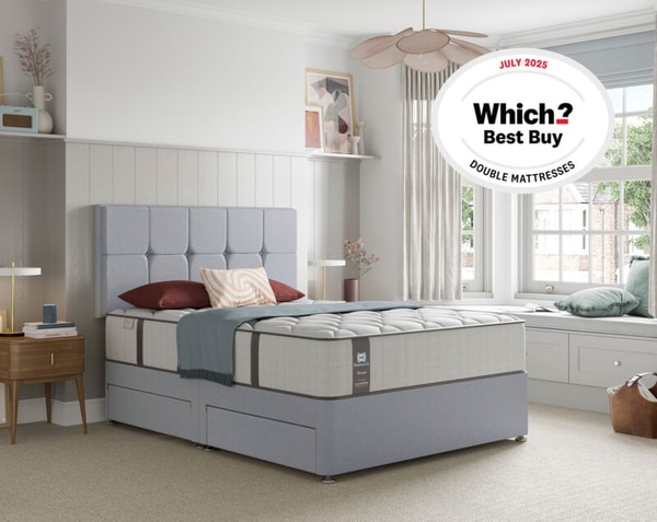 The Sleep Shop Sealy Elevate Blackwood Firm Review
