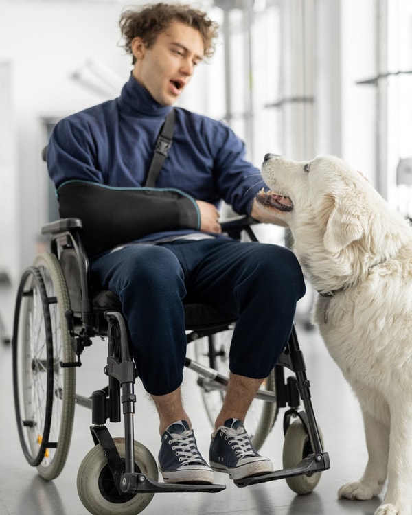 Tiendanimal Para Produtos Pet Especializados