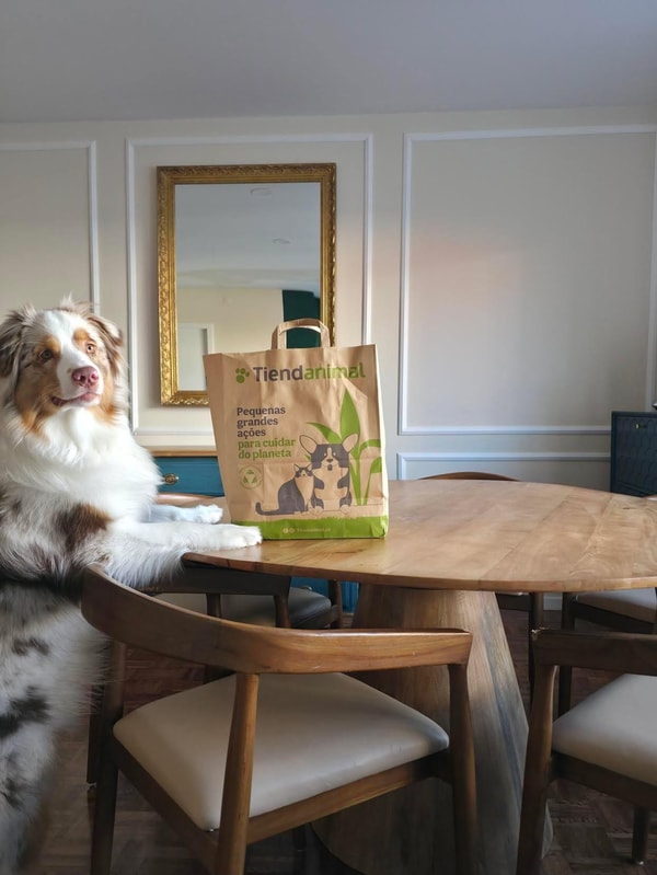 Vis&atilde;o Geral de Tiendanimal em Portugal