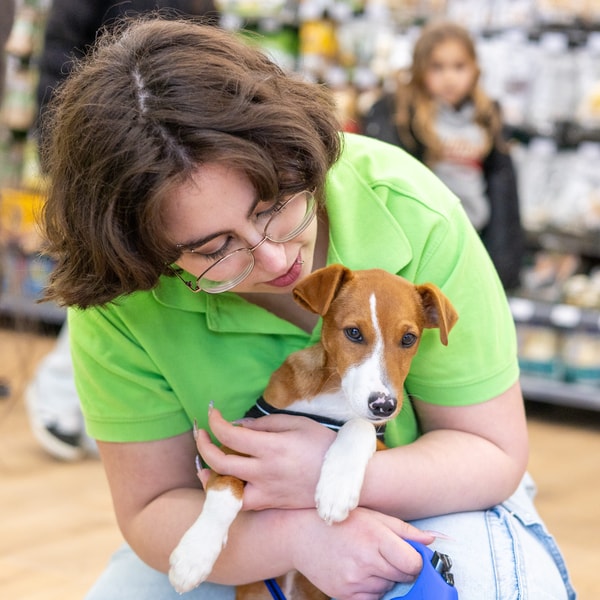 Tiendanimal Avalia&ccedil;&atilde;o