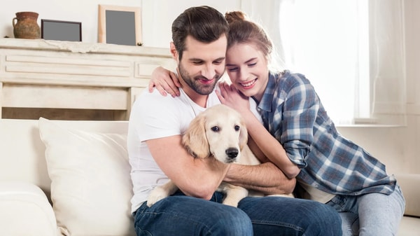 Tierisch-verliebt.de Premium-Mitgliedschaft Bewertung