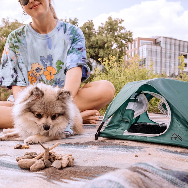 Tiny Tents Review