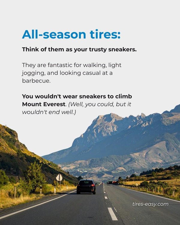 Tires-Easy.com Review
