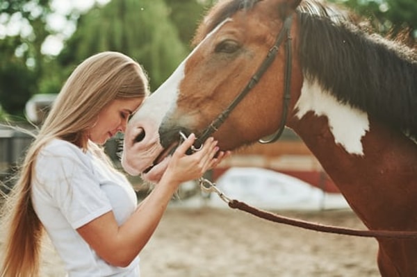 TKV24.de Horse Liability Insurance Bewertung