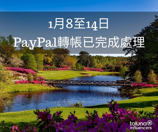 Toluna 全球問卷平台 評測