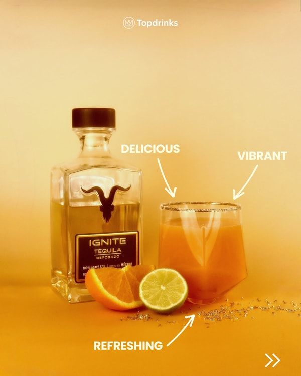 Oversigt over Topdrinks