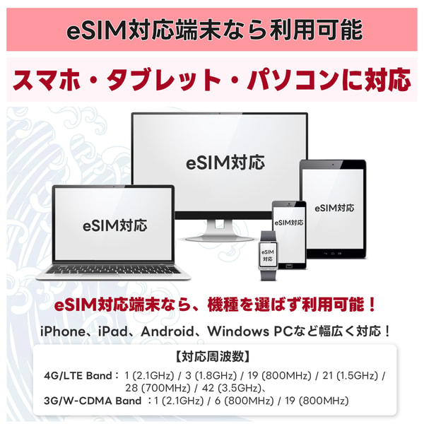 TORA eSIMについて