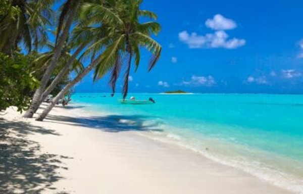 About Total Travel Protection