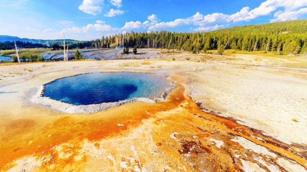 Tours4fun 5-Day Yellowstone & Grand Teton Tour Review