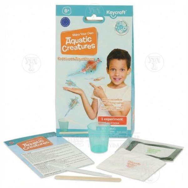 Toyday Brine Shrimp Growing Kit Reviews