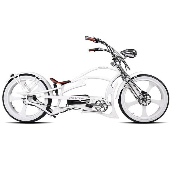 TracerBikes Raptor Pro DS 800W Review