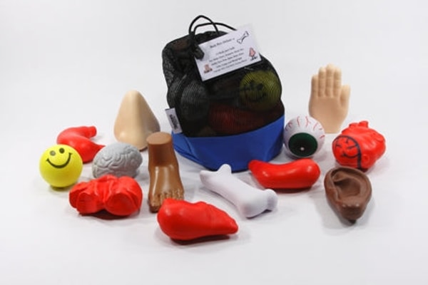 Training Wheels Gear Body Part Deluxe Review