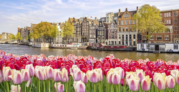 Trainline Paris to Amsterdam Avis