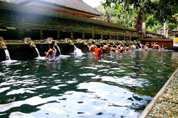 Travel Active Volunteering Program Bali Beoordeling