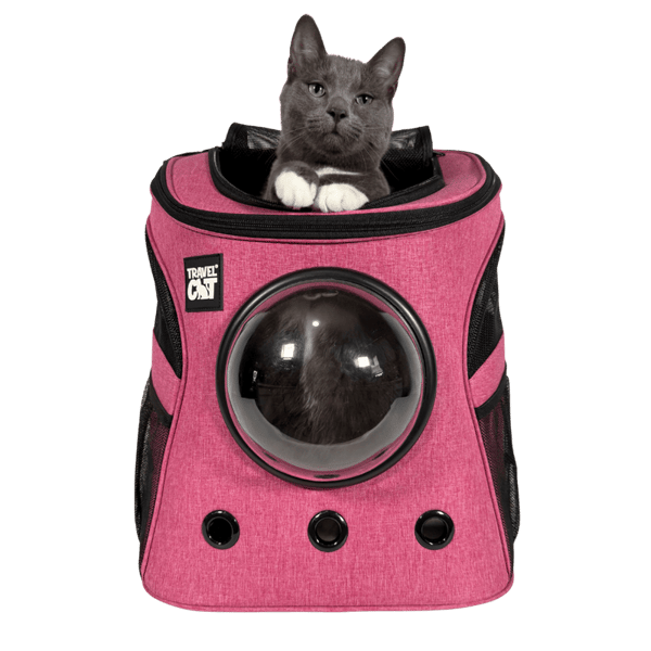 Travel Cat The Fat Cat Cat Backpack Review
