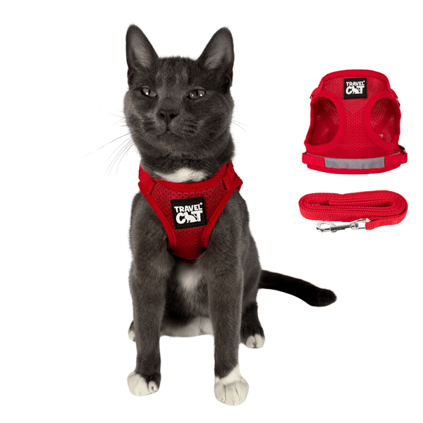 Travel Cat The True Adventurer Harness & Leash Set Review