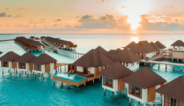 Cedar Tree Travel Insurance Overview