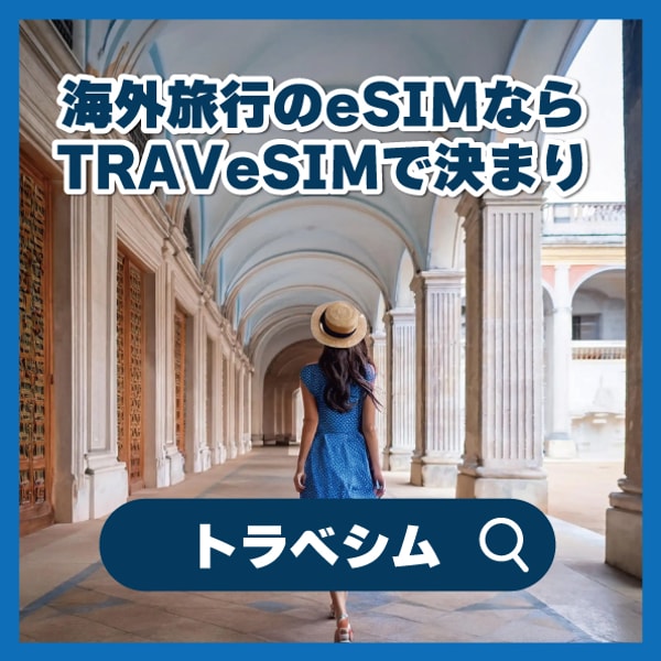 About TRAVeSIM