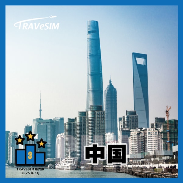 TRAVeSIM Review