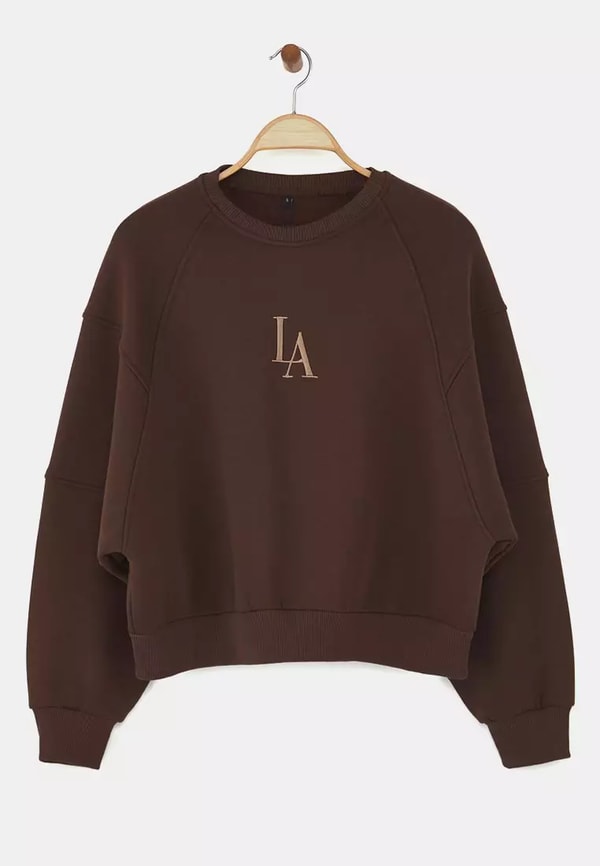 ZALORA Brown Crew Neck Regular Fit Embroidered Thick Polar Fleece Knitted Sweatshirt Twoaw24Sw00199 Review