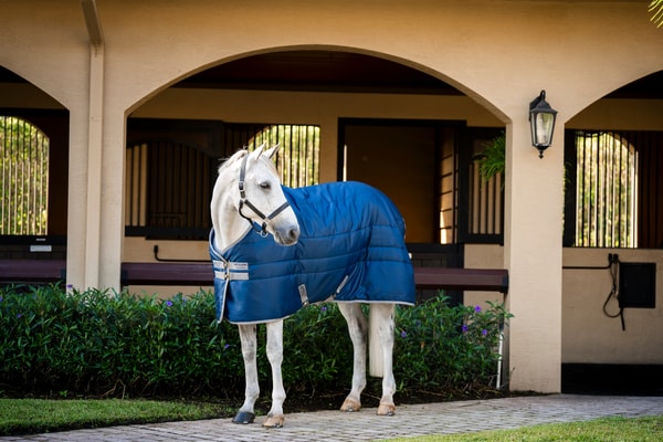 TRI Equestrian Review