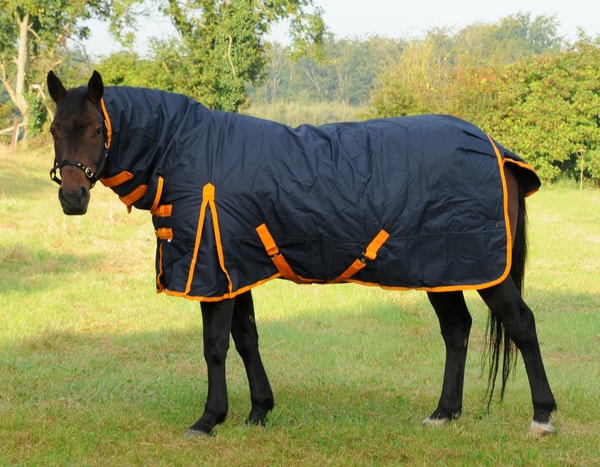 TRI Arkle Full Neck Heavyweight Turnout Rug Review