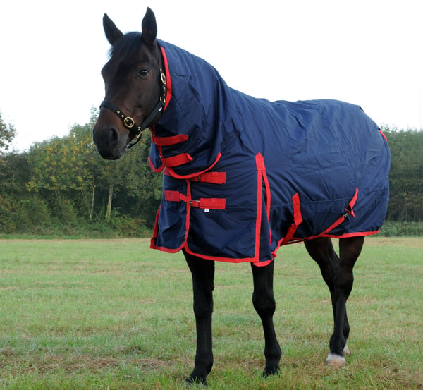 TRI Arkle Full Neck Medium Weight Turnout Rug Review