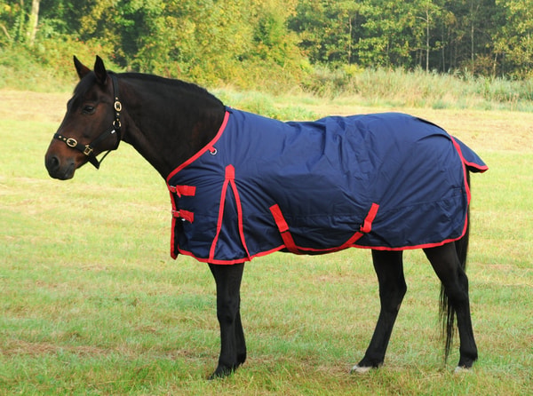 TRI Arkle Standard Neck Turnout 200G Review