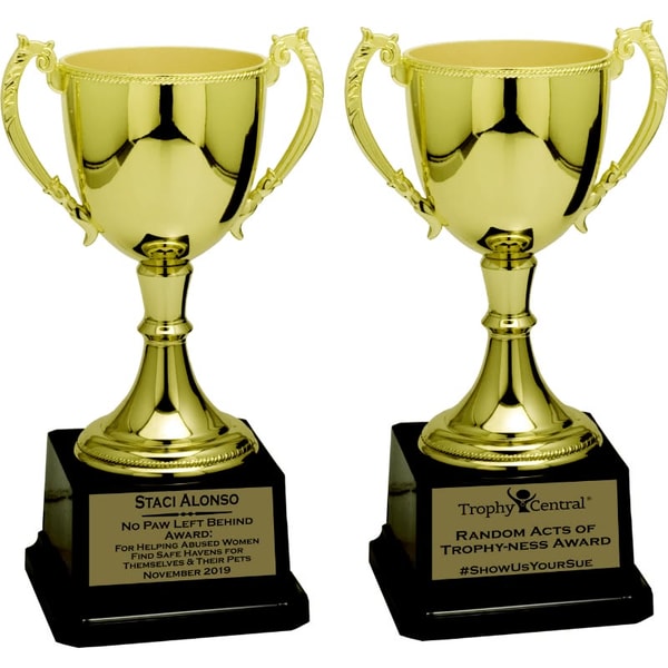 Overview of Trophy Central 