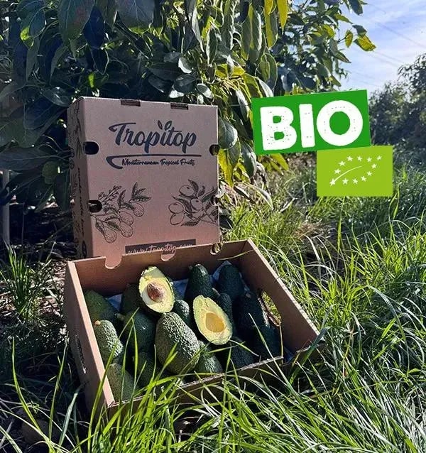 Tropitop Aguacates Hass BIO Rese&ntilde;a