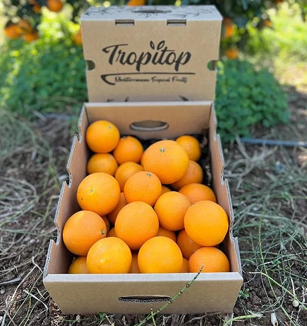 Tropitop Naranjas Valencianas Rese&ntilde;a